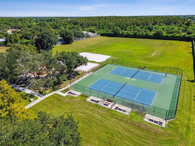 19427 MORDEN BLUSH DRIVE, Lutz, FL 33558