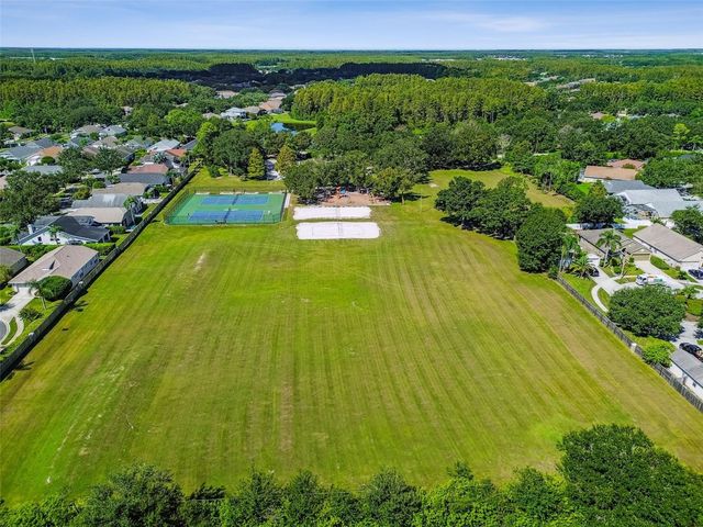 19427 MORDEN BLUSH DRIVE, Lutz, FL 33558