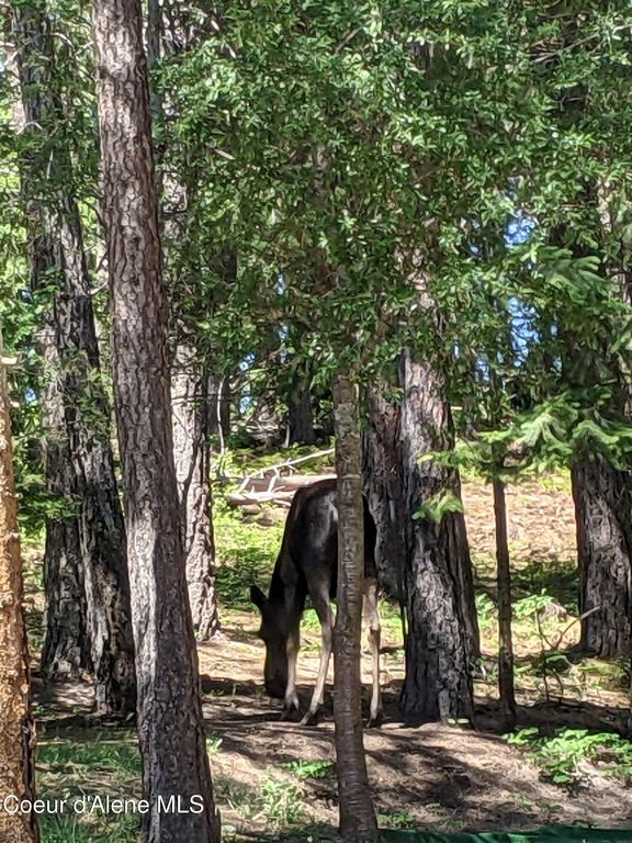 483 Paradise LN, Pinehurst, ID 83850 photo 34