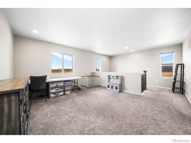 1637 Stoll Drive, Windsor, CO 80550