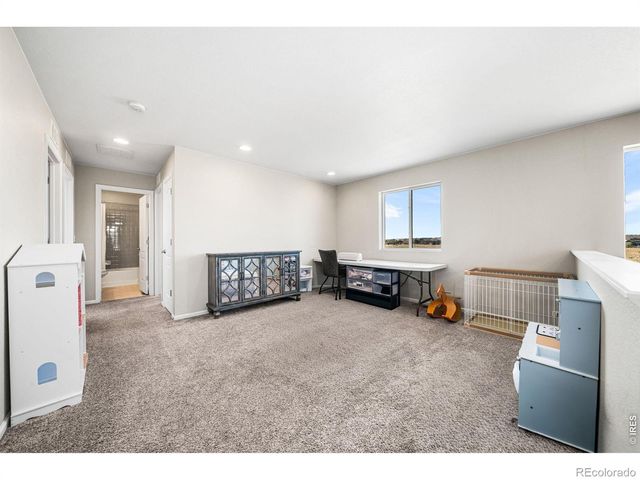 1637 Stoll Drive, Windsor, CO 80550