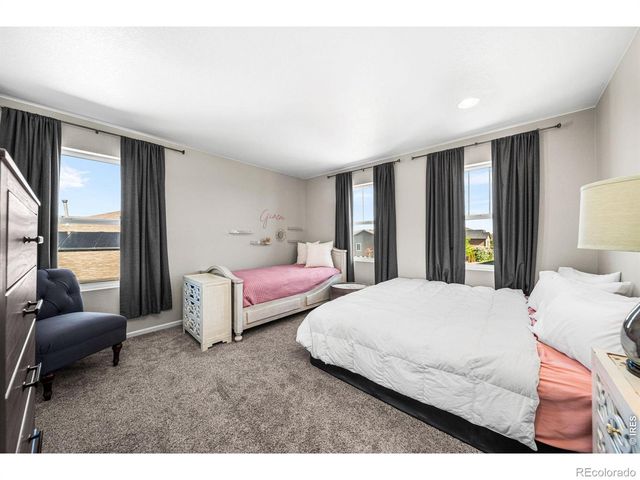 1637 Stoll Drive, Windsor, CO 80550