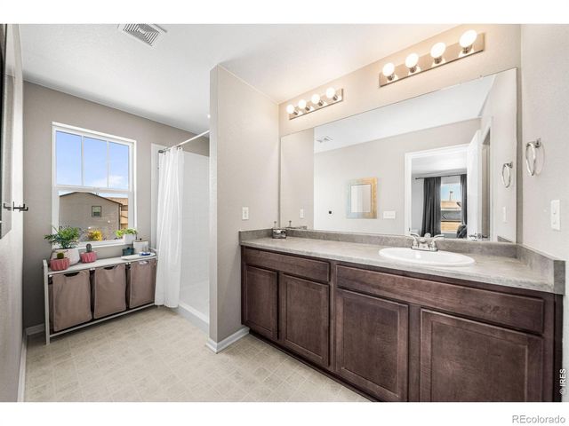 1637 Stoll Drive, Windsor, CO 80550