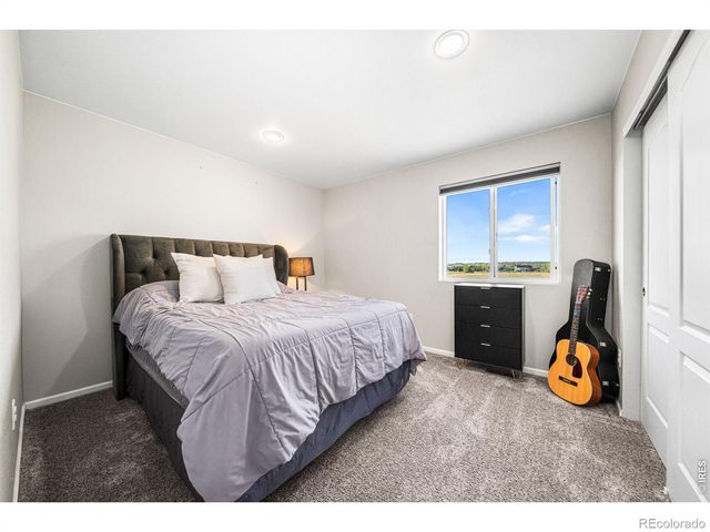 1637 Stoll Drive, Windsor, CO 80550