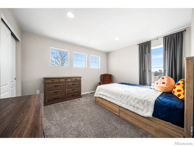 1637 Stoll Drive, Windsor, CO 80550