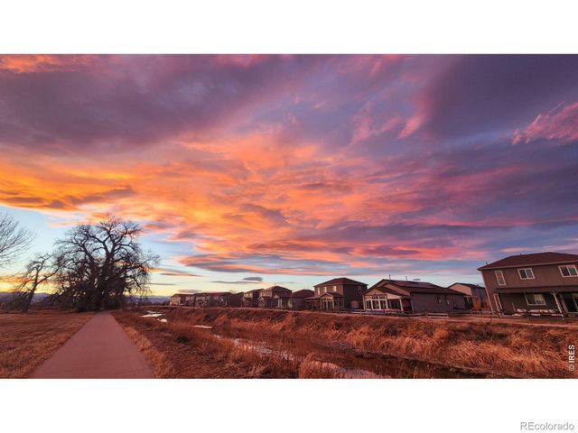 1637 Stoll Drive, Windsor, CO 80550