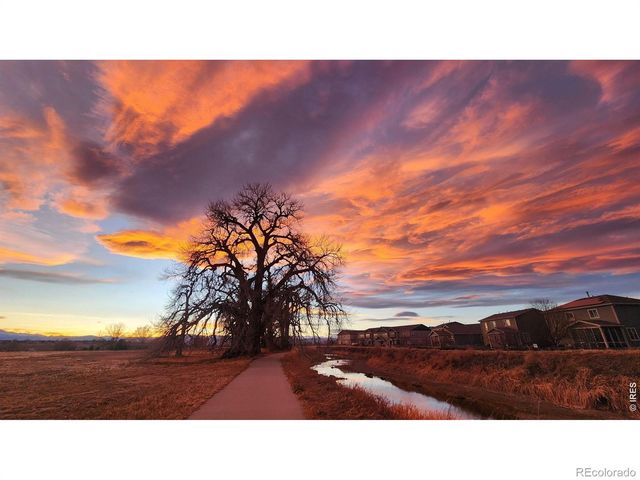 1637 Stoll Drive, Windsor, CO 80550
