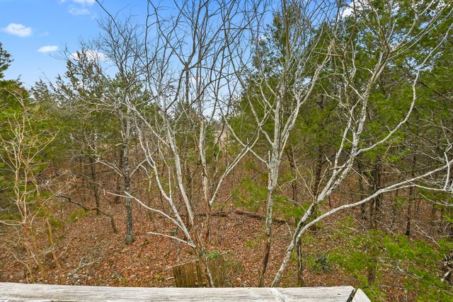 86 Beardsley Creek Drive, Blue Eye, MO 65611