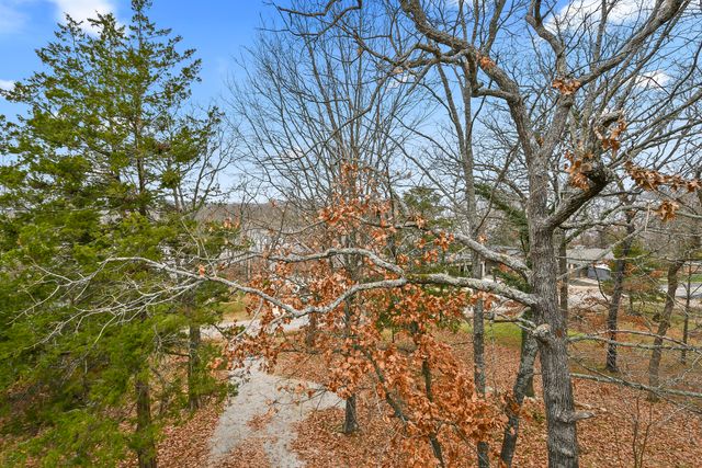 86 Beardsley Creek Drive, Blue Eye, MO 65611