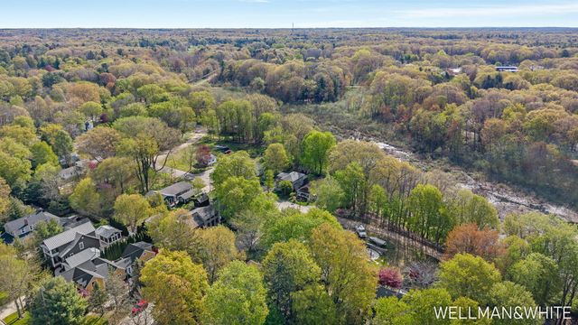 1005 Elizabeth Street, Saugatuck City, MI 49453