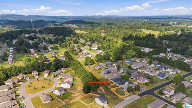 9278 RADFORD PLACE, Warrior, AL 35180