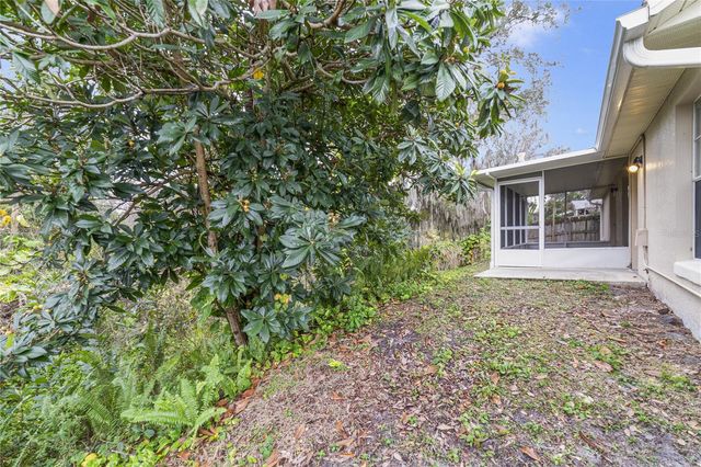 210 MEADOW GREEN DRIVE, Davenport, FL 33837