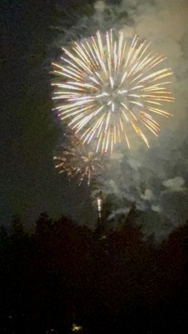 1132 Angela Ann Ct, Nolensville, TN 37135