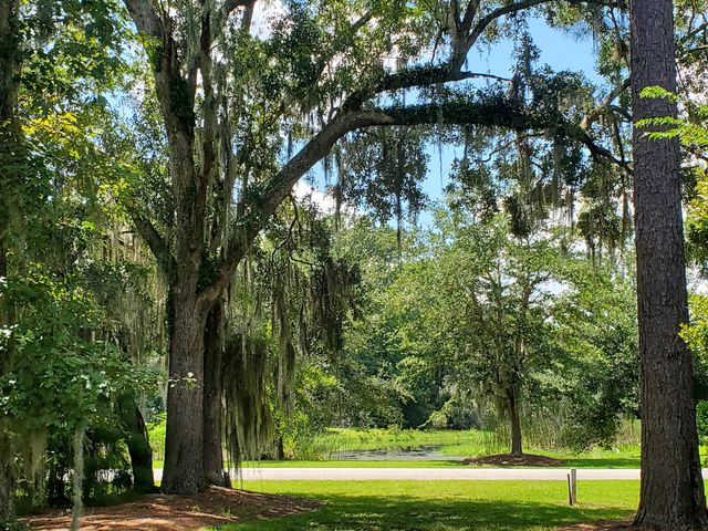 4227 Ten Shillings Way, Ravenel, SC 29470