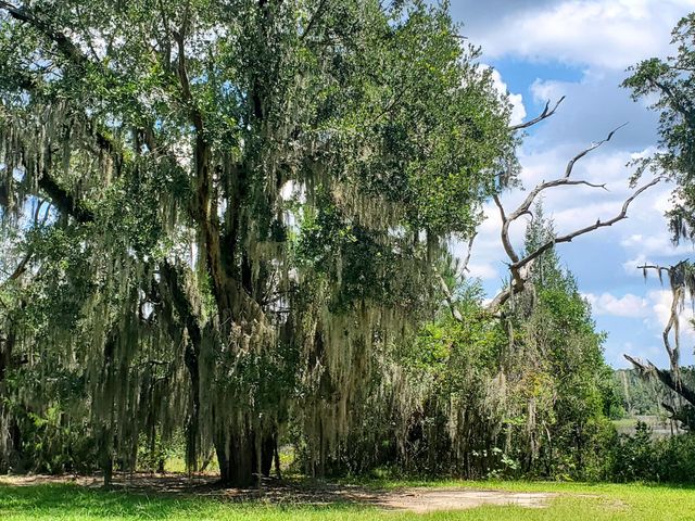 4227 Ten Shillings Way, Ravenel, SC 29470