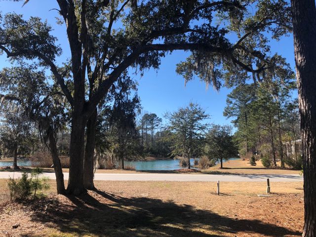 4227 Ten Shillings Way, Ravenel, SC 29470