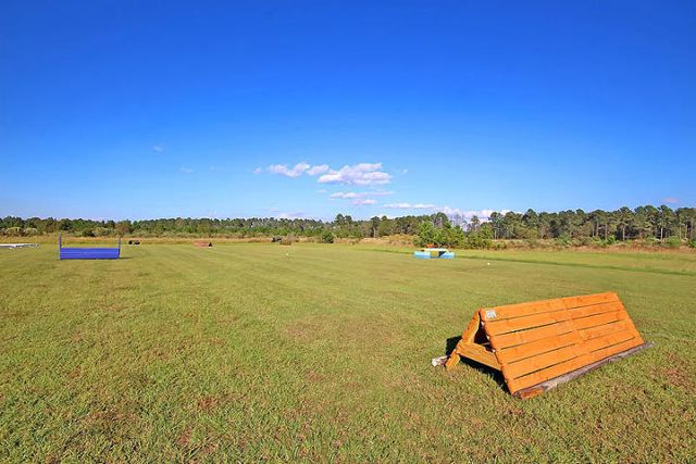 4227 Ten Shillings Way, Ravenel, SC 29470