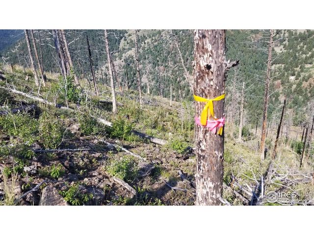 0 Gold Trl, Boulder, CO 80302