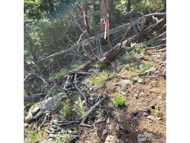 0 Gold Trl, Boulder, CO 80302