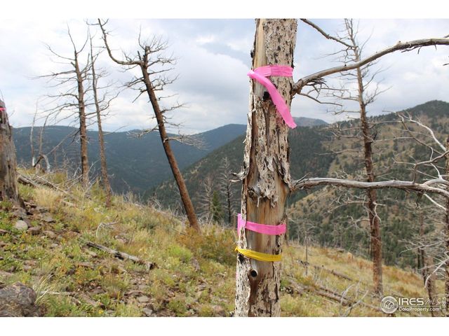 0 Gold Trl, Boulder, CO 80302