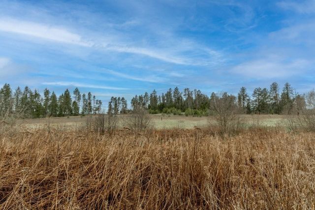 343XX N Spotted Rd, Deer Park, WA 99006