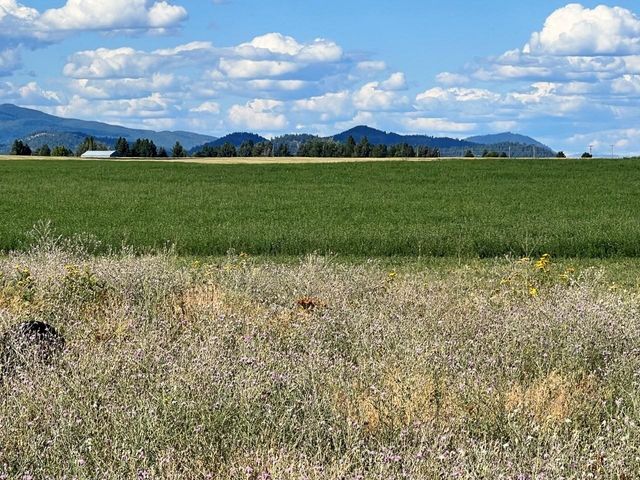 343XX N Spotted Rd, Deer Park, WA 99006