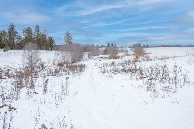 343XX N Spotted Rd, Deer Park, WA 99006