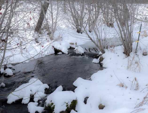 343XX N Spotted Rd, Deer Park, WA 99006