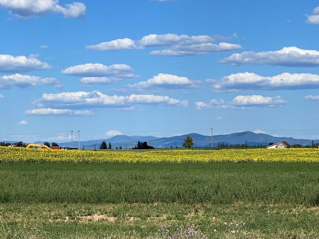 343XX N Spotted Rd, Deer Park, WA 99006