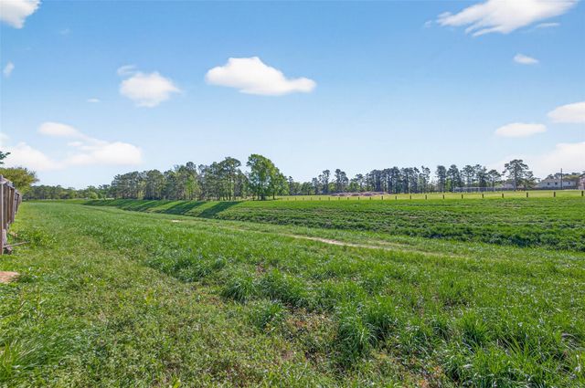 29426 Winton Wood Way, Spring, TX 77386