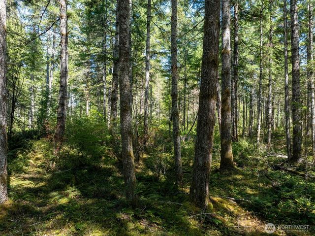 2461 W Hanks Lake Road, Shelton, WA 98584