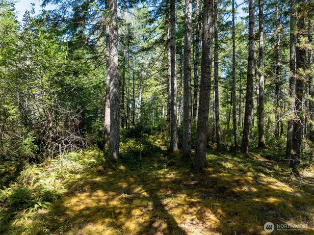 2461 W Hanks Lake Road, Shelton, WA 98584
