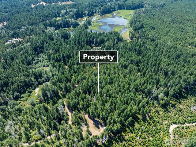 2461 W Hanks Lake Road, Shelton, WA 98584