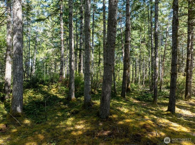 2461 W Hanks Lake Road, Shelton, WA 98584