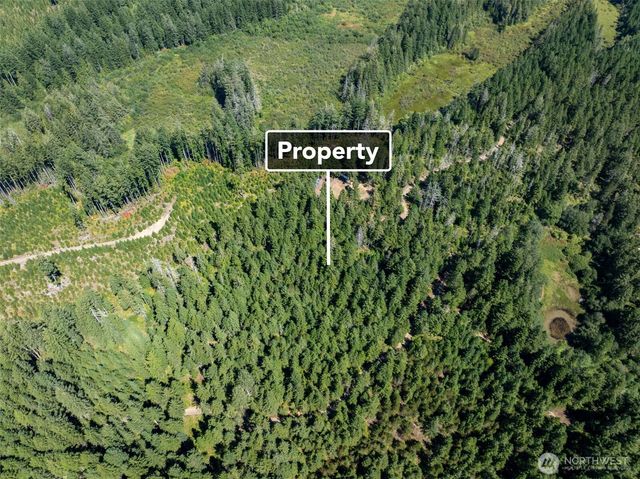 2461 W Hanks Lake Road, Shelton, WA 98584
