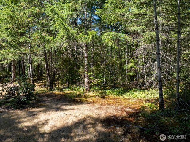 2461 W Hanks Lake Road, Shelton, WA 98584