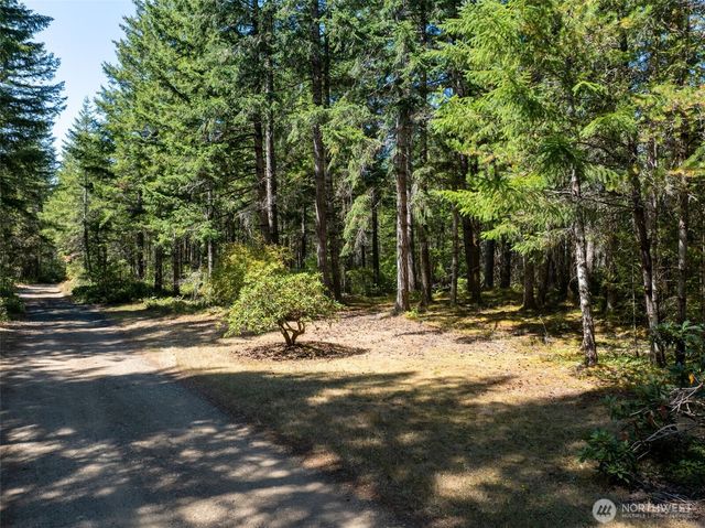 2461 W Hanks Lake Road, Shelton, WA 98584