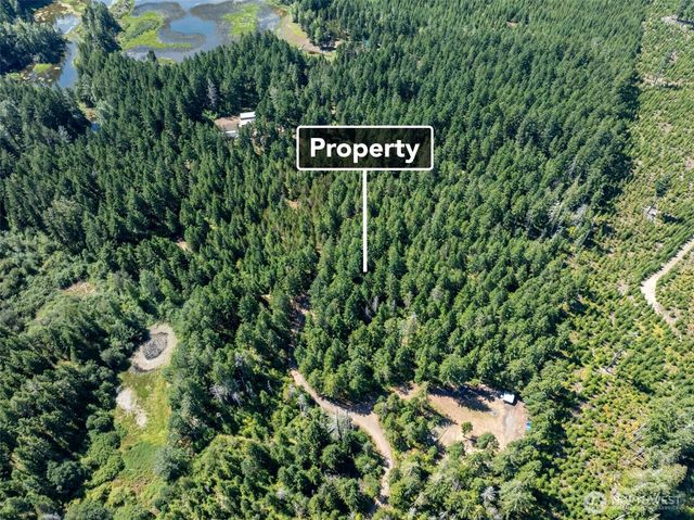 2461 W Hanks Lake Road, Shelton, WA 98584