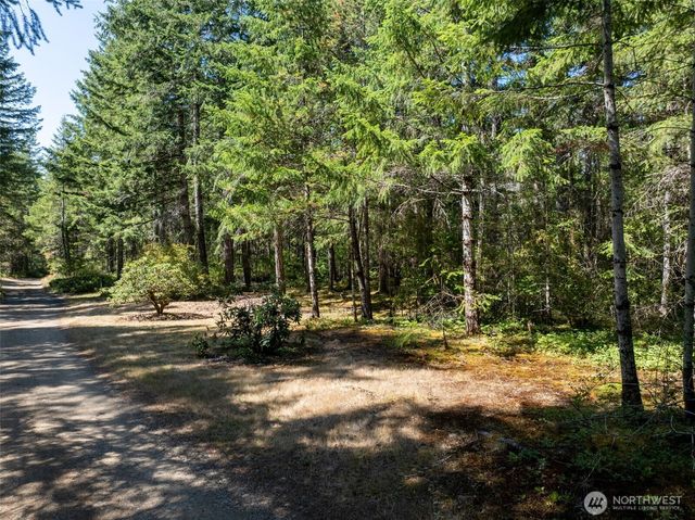 2461 W Hanks Lake Road, Shelton, WA 98584