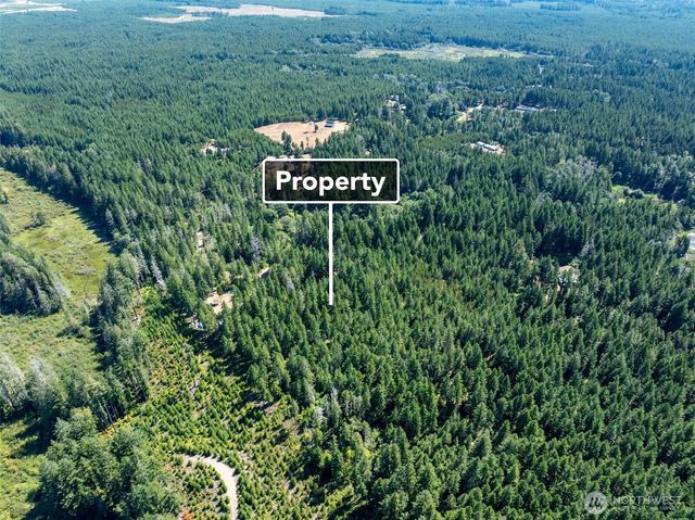 2461 W Hanks Lake Road, Shelton, WA 98584