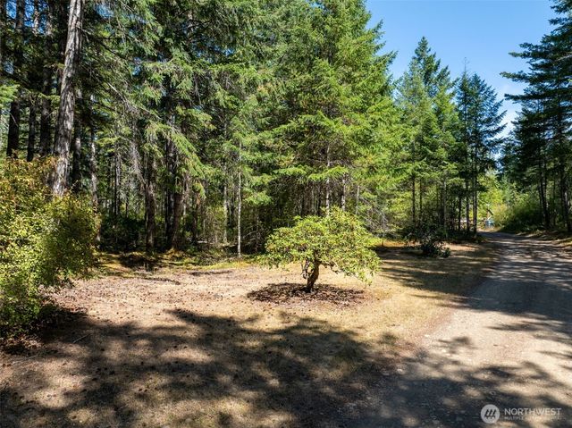 2461 W Hanks Lake Road, Shelton, WA 98584