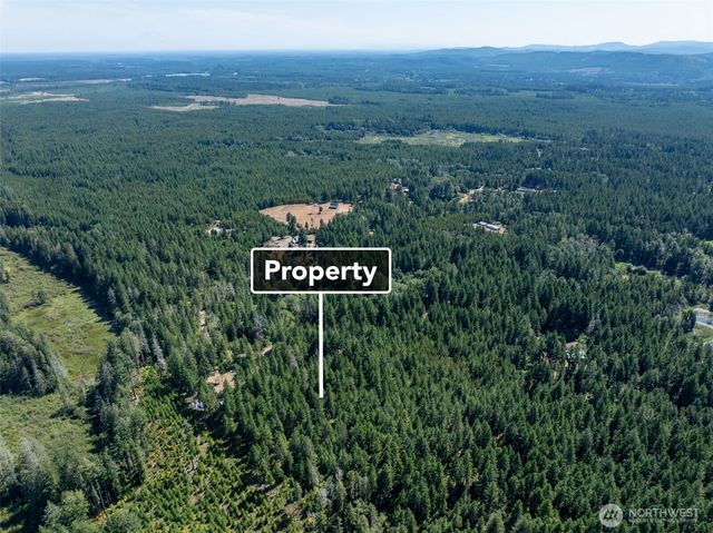2461 W Hanks Lake Road, Shelton, WA 98584
