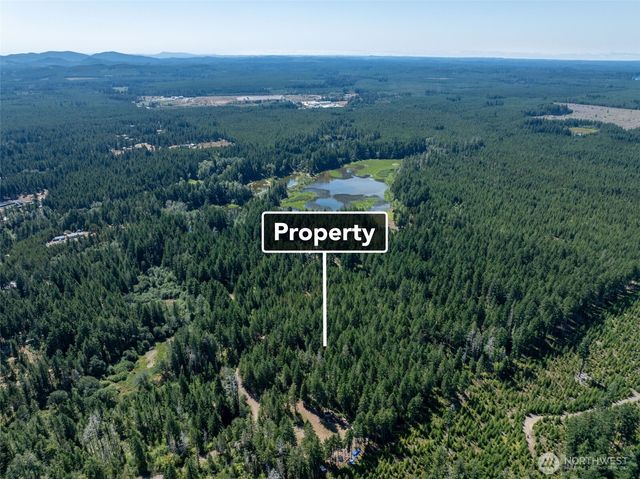 2461 W Hanks Lake Road, Shelton, WA 98584
