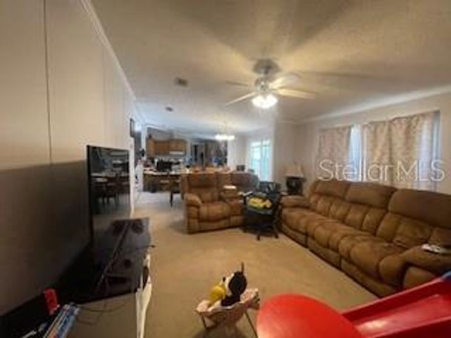 14050 SE 20 STREET, Morriston, FL 32668