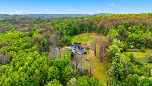 45 Whitetail Run, Chester, NY 10918