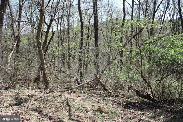 93 MILE TRL, Fairfield, PA 17320