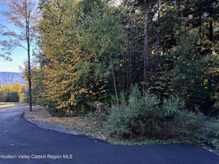 Tbd Hollow View Road, Windham, NY 12496