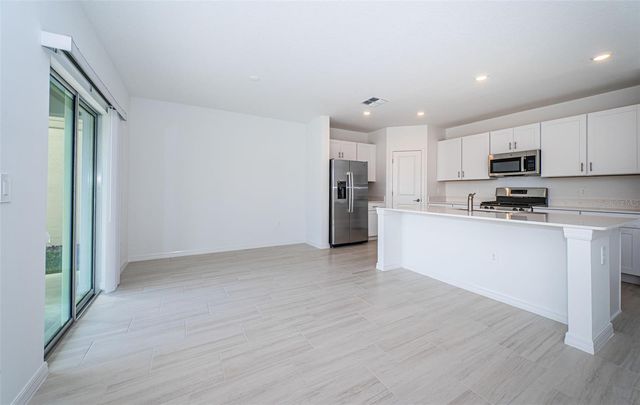 22310 BLAZING STAR RUN, Land O Lakes, FL 34637