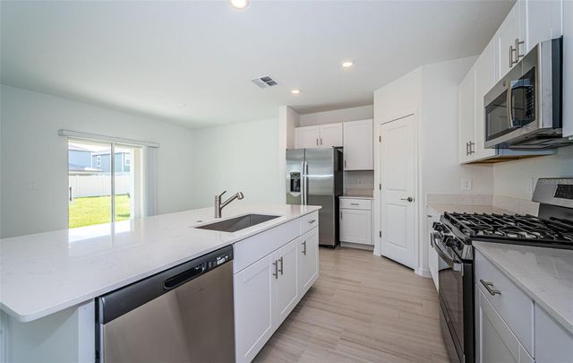 22310 BLAZING STAR RUN, Land O Lakes, FL 34637