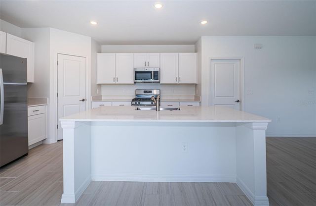 22310 BLAZING STAR RUN, Land O Lakes, FL 34637